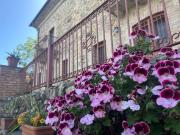 Top Marano Principato