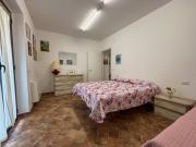 Top Pineto Top Pineto