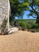 Top Fanzel Top Fanzel