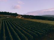 Top Bibbiena Top Bibbiena