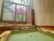 蓼科温泉豪族の館大東園