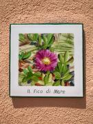 Il Fico di Mare - 100m from the beach