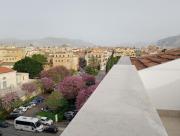 Top Palermo