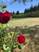 Top Salon-de-Provence