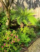 Top Lège-Cap-Ferret