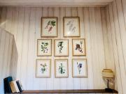 Top Lège-Cap-Ferret