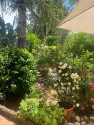 Corelli & Company Rose Musica e Libri