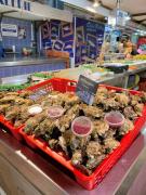 Le Balcon de Saint-Clair, Joli T2 Centre, Climatisé, Parking privé