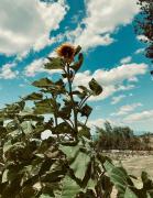 Top Capaccio-Paestum