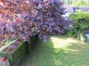 Gîte de vacances avec wifi