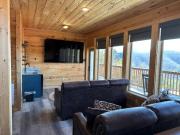 A Baby Bear, Free Tickets, NO CATCH!