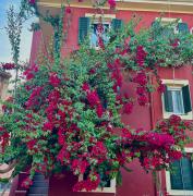 Corfu Port Home- City Centre Apartment