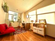 Lujoso y soleado departamento en Sopocachi