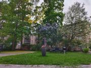 #TÖÖLÖNTORI Beauty in great location