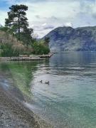 Top Kotor