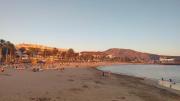 Top Playa de las Americas Top Playa de las Americas