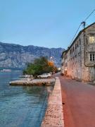 Top Kotor