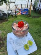 Top Hacienda Santa Rosa