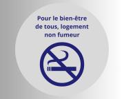 Top Lapte