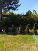 Top Nadole Top Nadole