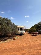 Top Barão de São João