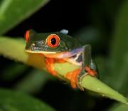 Top El Castillo de La Concepción
