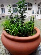 Like Studio City Centrum, WiFi, Terrace