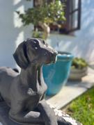 Helder Haven Cottage