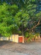 Top Madurai
