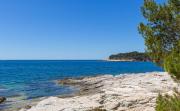 Top Pula