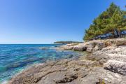 Top Pula