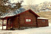 Top Wapiti