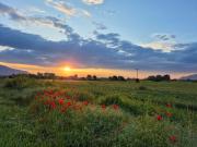 Top Kerkíni Top Kerkíni