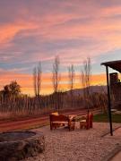 Cactus del Talampaya 1