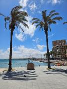 Top Torrevieja