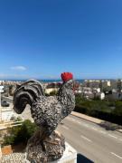 Apartament Casa del Gallo Torrevieja Apartament Casa del Gallo Torrevieja