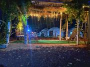 Top Barra de Navidad