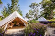 Roost Glamping - SHA Certified