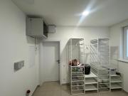 Top Carnikava