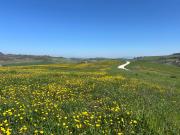 Il Palazzo dei Diavoli