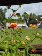 Top Marina di Camerota