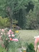 Top Saint-Paul-lès-Dax