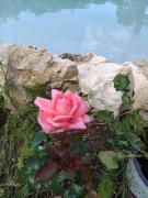 Top Saint-Paul-lès-Dax