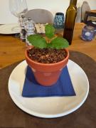 Top Chianciano Terme Top Chianciano Terme