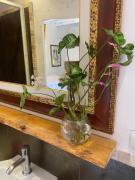 Agriturismo Nibbiano Agriturismo Nibbiano