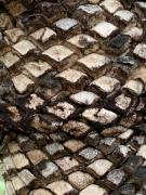 Girraween Rural Retreat with Gorgeous Lagoon Pool