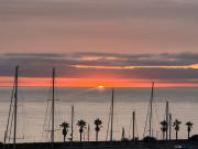 Top Imperia