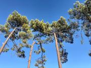 Top Montalivet-les-Bains