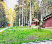 Karinna Orman Evleri