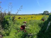 Top Barneville-Carteret